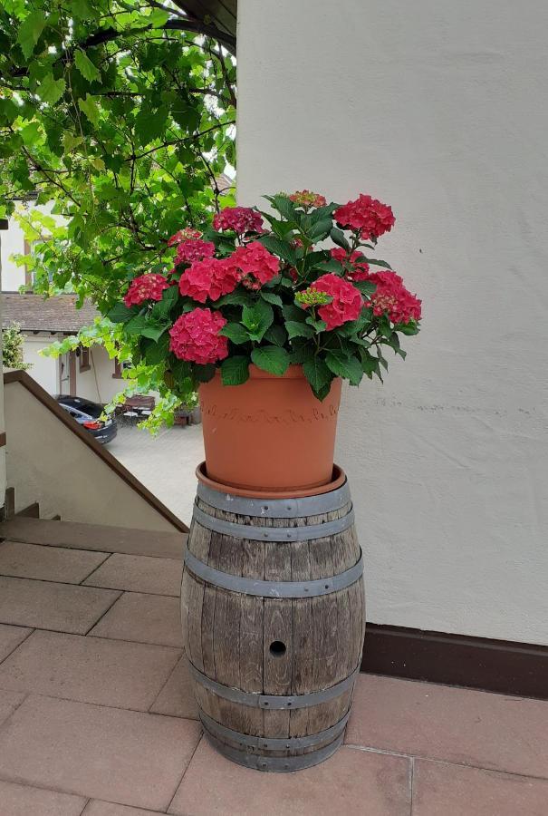 Das Landhotel Weingut Gernert Sankt Martin Esterno foto