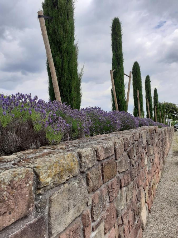 Das Landhotel Weingut Gernert Sankt Martin Esterno foto